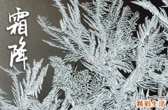2023霜降节气是哪一天