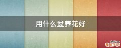 用什么盆养花好
