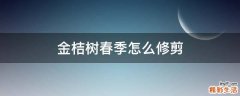 金桔树春季怎么修剪