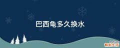 巴西龟多久换水