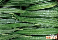 孕妇可以吃丝瓜吗