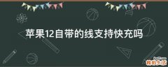 苹果12自带的线支持快充吗