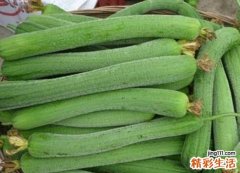 丝瓜的营养价值