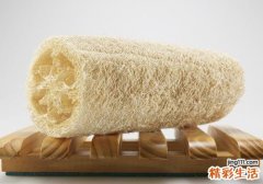 丝瓜瓤的功效与作用 你还在用它洗碗吗