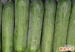 孕妇吃丝瓜会拉肚子吗 孕妇吃丝瓜汤好吗