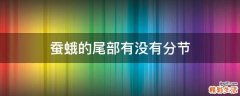 蚕蛾的尾部有没有分节