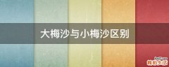 大梅沙与小梅沙区别