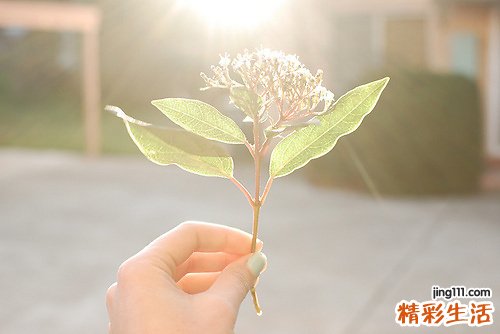 2 重要的水疗养生法