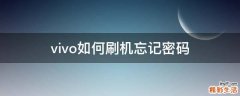 vivo如何刷机忘记密码