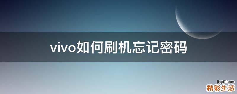 vivo如何刷机忘记密码