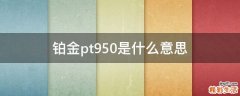 铂金pt950是什么意思