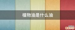 植物油是什么油