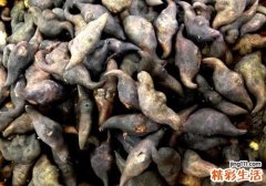 菱角吃多了会上火吗 菱角吃多了居然会这样