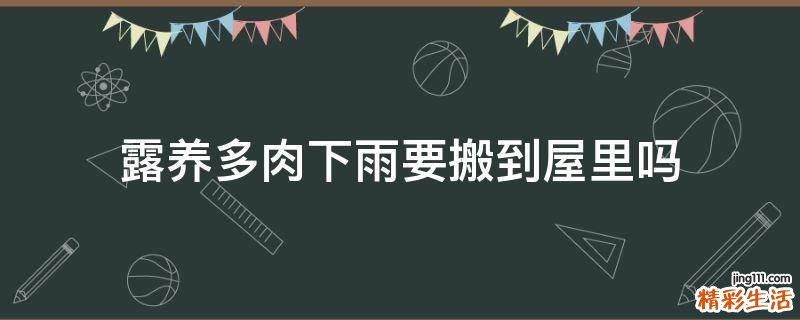 露养多肉下雨要搬到屋里吗
