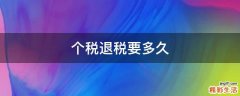 个税退税要多久