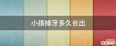 小孩掉牙多久长出