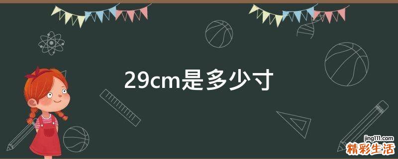 29cm是多少寸