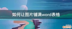 如何让图片铺满word表格