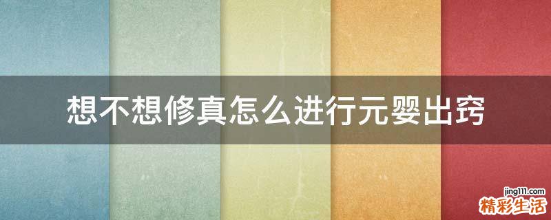 想不想修真怎么进行元婴出窍