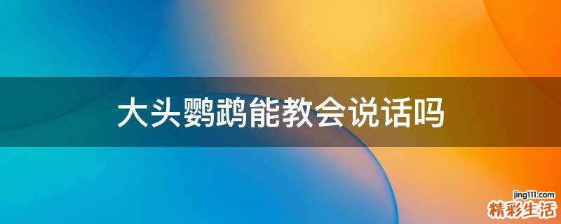 大头鹦鹉能教会说话吗