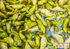 吃菱角会回奶吗 这些回奶的食物你都知道吗