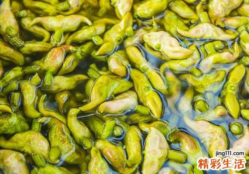 吃菱角会回奶吗 这些回奶的食物你都知道吗
