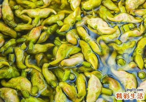 菱角吃了可以下奶吗 菱角怎么吃下奶