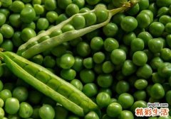豌豆没熟吃了会中毒吗 豌豆生吃好还是熟吃好