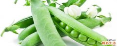 豌豆有什么功效 豌豆有什么营养