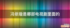冯依璇是哪部电视剧里面的