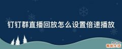 钉钉群直播回放怎么设置倍速播放