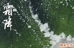 2023年霜降后还热不热 霜降后还要热多久