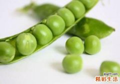 生豌豆有毒吗