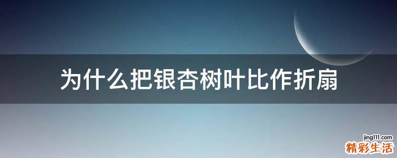 为什么把银杏树叶比作折扇