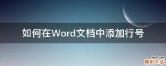 如何在Word文档中添加行号