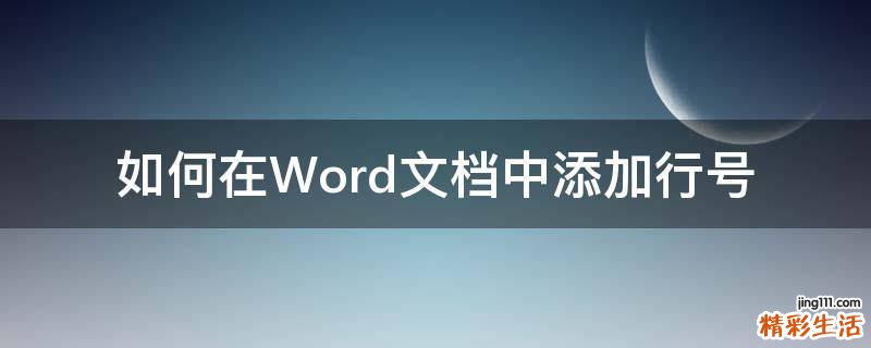 如何在Word文档中添加行号
