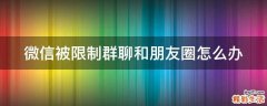 微信被限制群聊和朋友圈怎么办