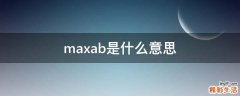 ab max是什么意思