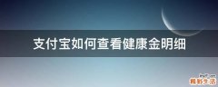 支付宝如何查看健康金明细
