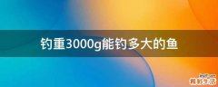 钓重3000g能钓多大的鱼