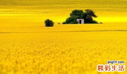 如何为老年人选择登山杖
