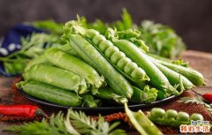 豌豆没熟吃会中毒吗 豌豆生吃好还是熟吃好