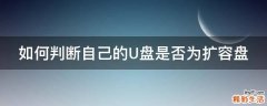 如何判断自己的U盘是否为扩容盘