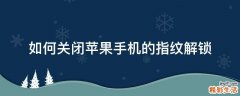 如何关闭苹果手机的指纹解锁