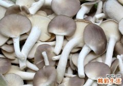 蘑菇蔬菜汤