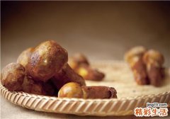 怎么样看蘑菇有没有毒 蘑菇长白毛还能吃吗