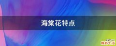 海棠花特点
