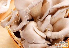蘑菇焯水需要多长时间 蘑菇怎么淖水正确