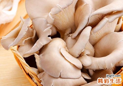 蘑菇焯水需要多长时间 蘑菇怎么淖水正确
