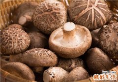 春季吃什么菌类好 蘑菇是吃新鲜的还是吃干的
